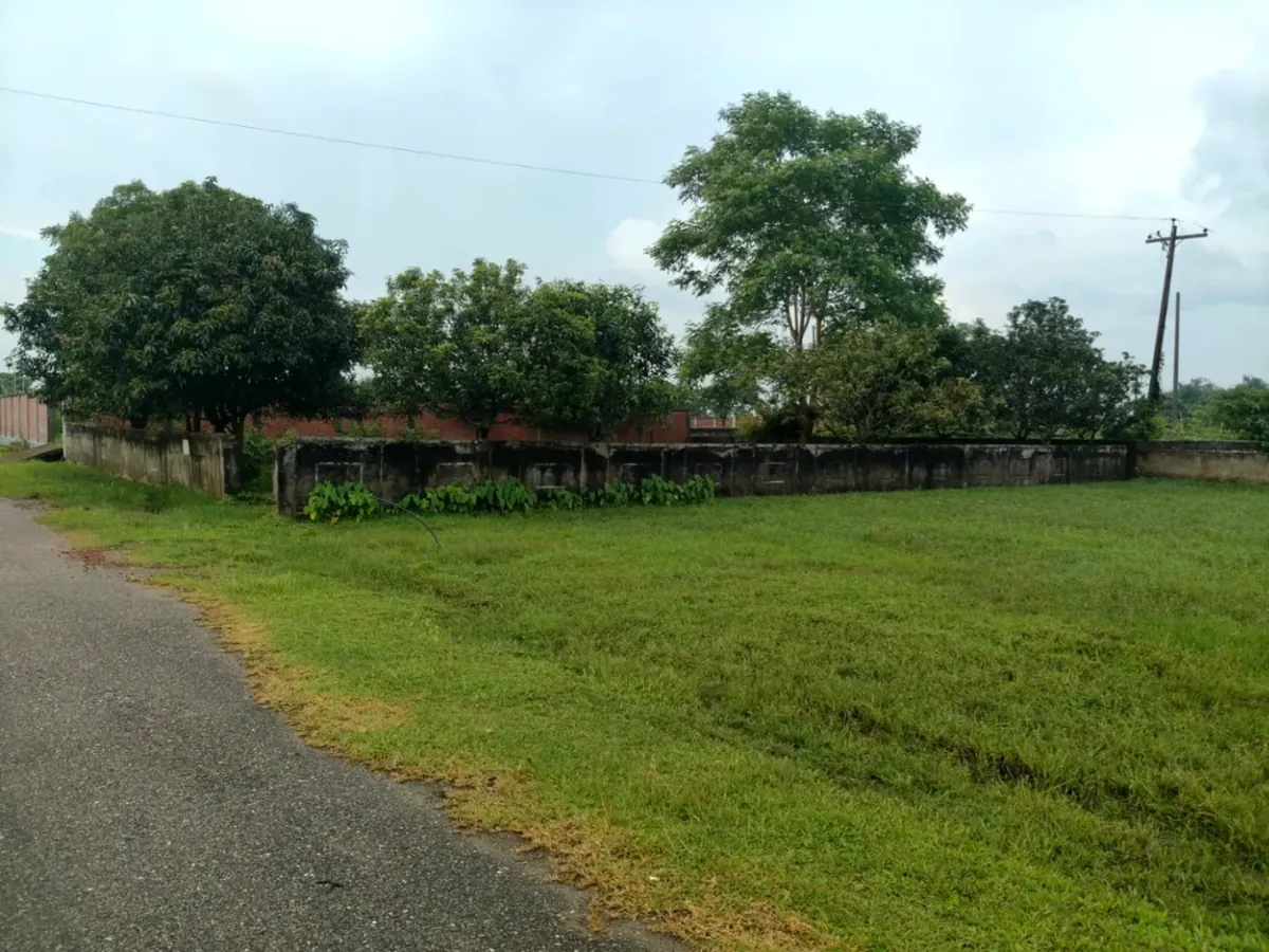 Photo 1 of the plot