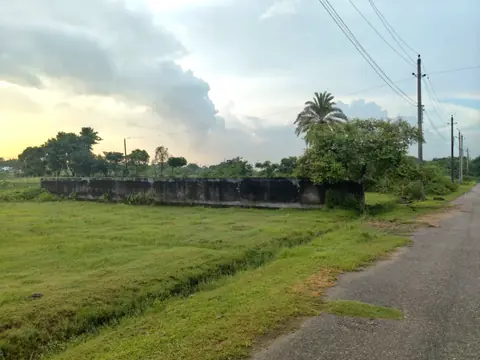 Photo 2 of the plot