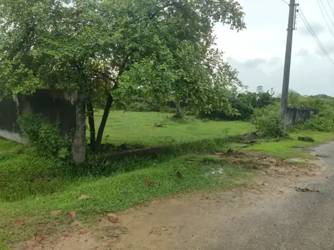 Photo 3 of the plot