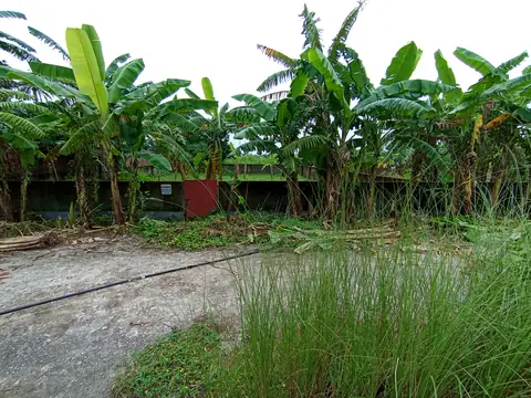 Photo of a Purbachal plot area