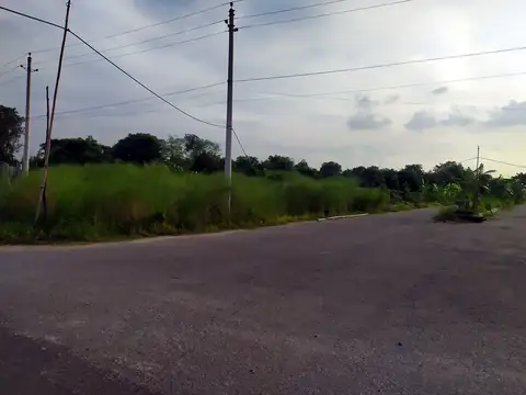 Photo of a Purbachal plot area