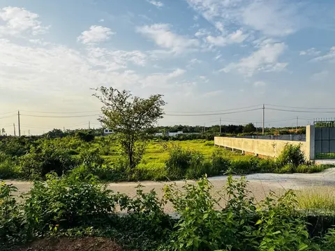 Photo of a Purbachal plot area