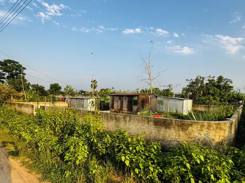 Photo of a Purbachal plot area