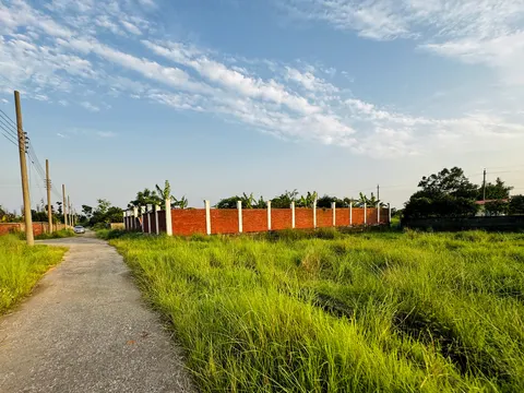 Photo of a Purbachal plot area