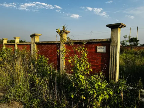 Photo of a Purbachal plot area