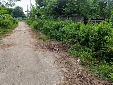 Photo of a Purbachal plot area