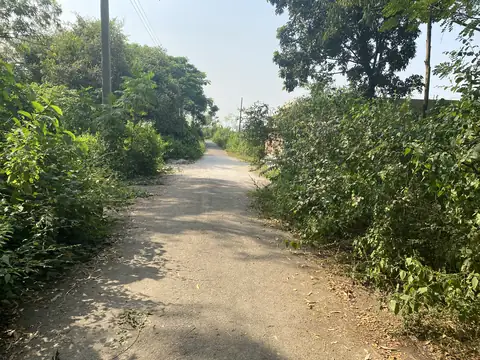 Photo of a Purbachal plot area