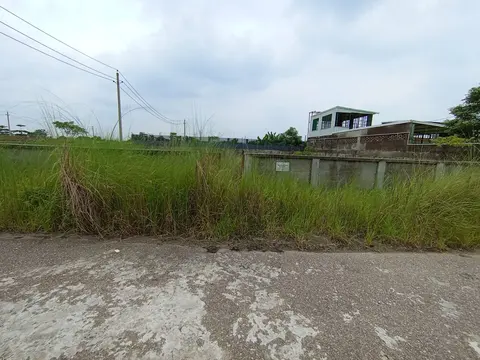 Photo of a Purbachal plot area