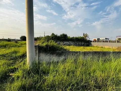 Photo of a Purbachal plot area