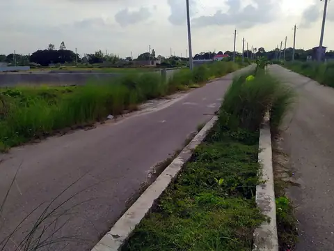 Photo of a Purbachal plot area