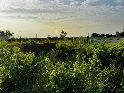 Photo of a Purbachal plot area