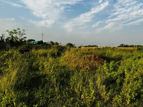 Photo of a Purbachal plot area