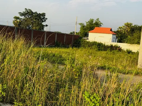 Photo of a Purbachal plot area