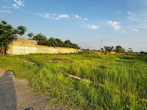 Photo of a Purbachal plot area