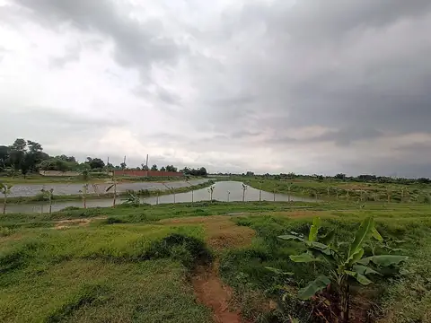 Photo of a Purbachal plot area