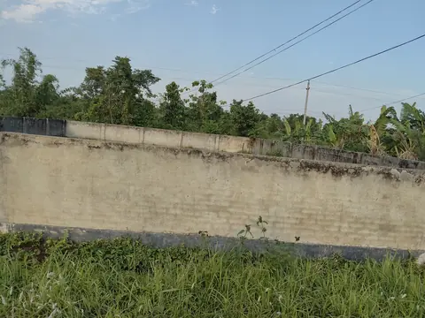 Photo of a Purbachal plot area