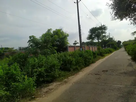 Photo of a Purbachal plot area