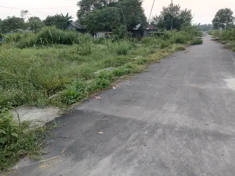 Photo of a Purbachal plot area