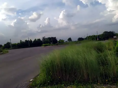 Photo of a Purbachal plot area