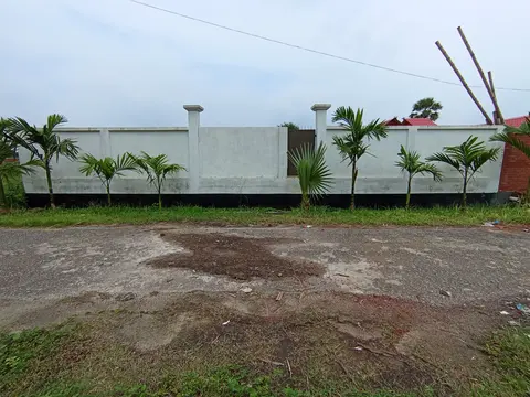 Photo of a Purbachal plot area