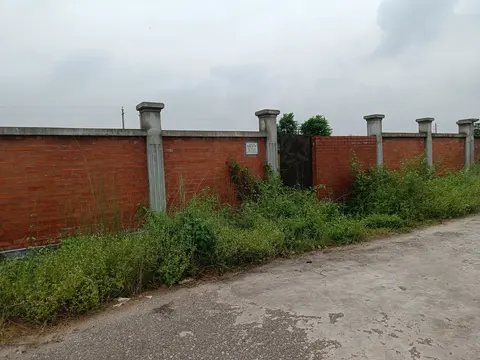 Photo of a Purbachal plot area