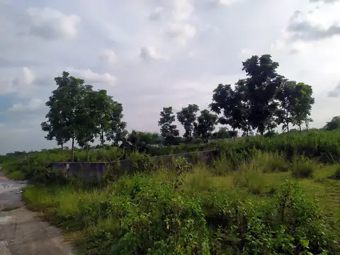 Photo of a Purbachal plot area