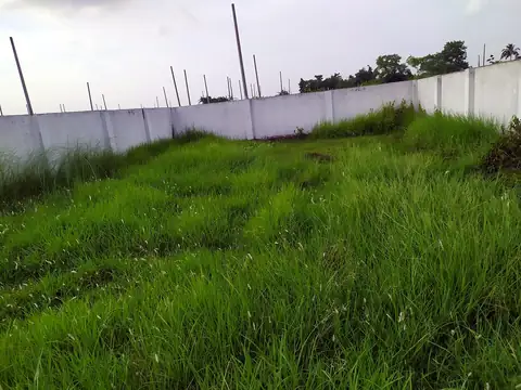 Photo of a Purbachal plot area