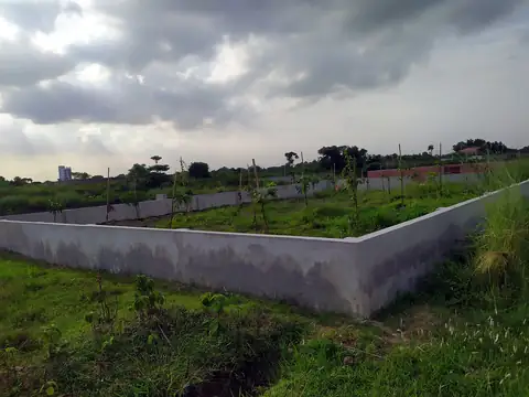 Photo of a Purbachal plot area