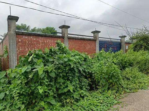 Photo of a Purbachal plot area