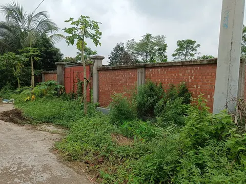 Photo of a Purbachal plot area