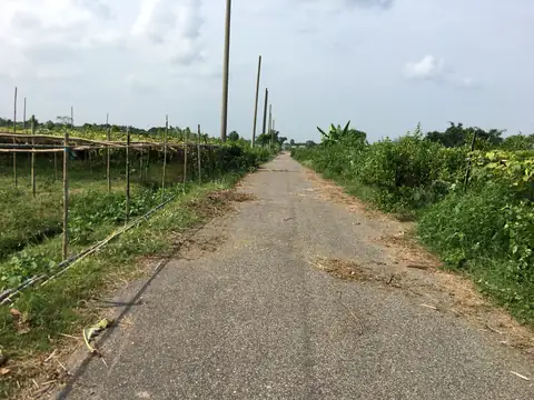Photo of a Purbachal plot area
