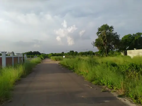 Photo of a Purbachal plot area
