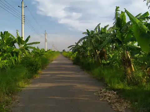 Photo of a Purbachal plot area