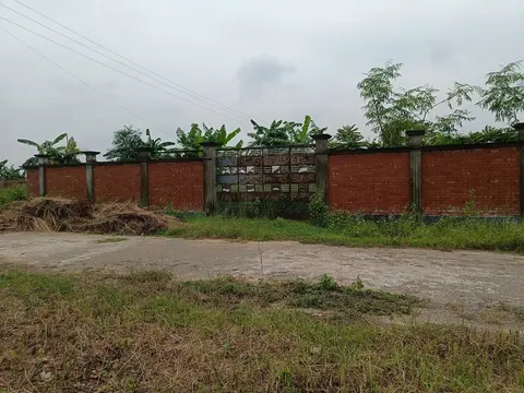 Photo of a Purbachal plot area