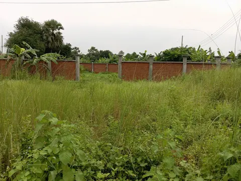 Photo of a Purbachal plot area