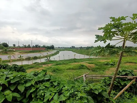 Photo of a Purbachal plot area