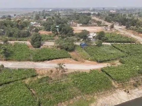 Sector 15 area from a drone (not this plot)