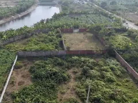 Sector 16 area from a drone (not this plot)