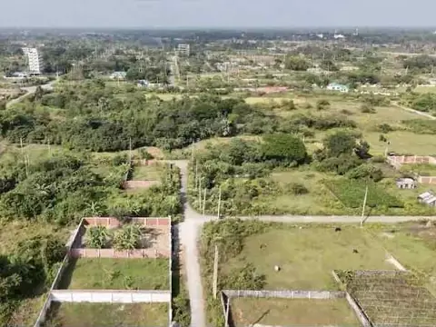 Sector 8 area from a drone (not this plot)
