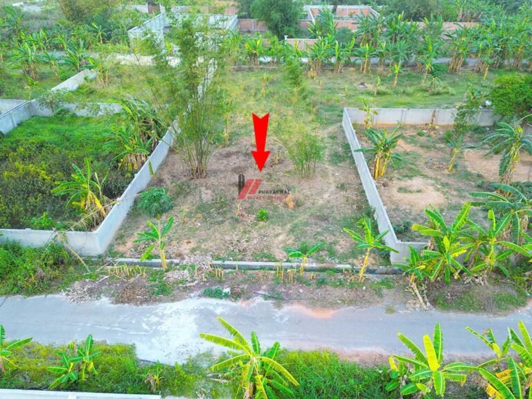 South Facing 3 Katha in Sector 9
