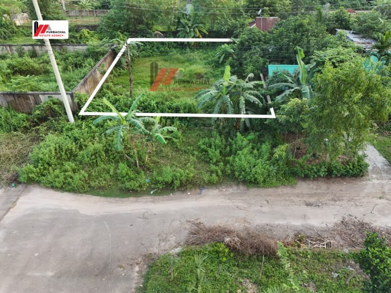Frontage 100ft, 5 Katha in Sector 8