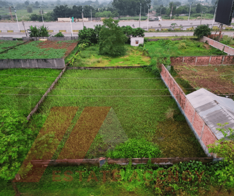 Sector 1, 10 Katha Near 300ft Expressway
