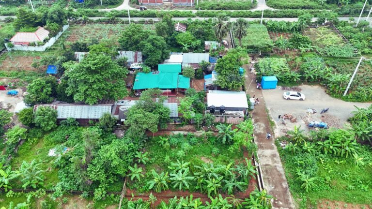 Corner 7.5 Katha Plot Near Lake