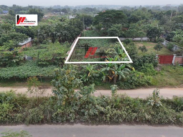 Sector 8, 5 Katha Frontage 100ft