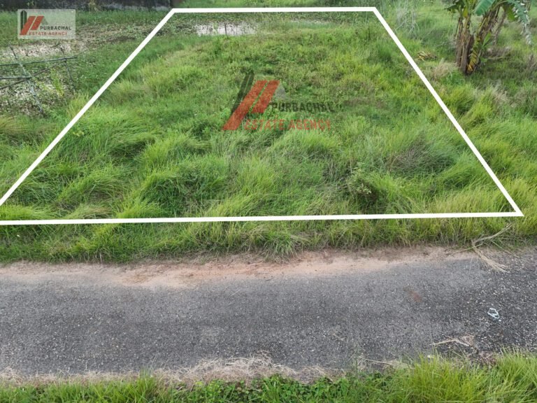Low Price 5 Katha Near 160ft