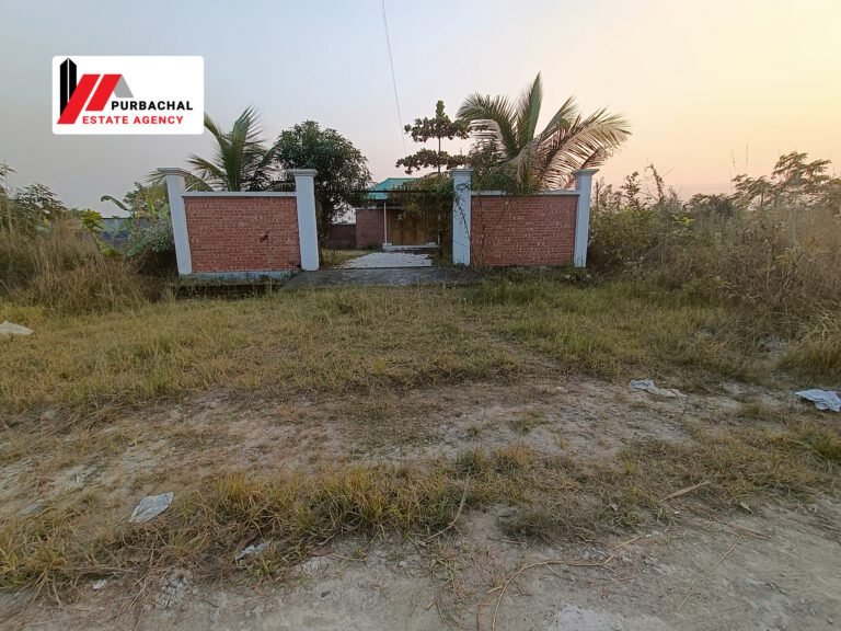 5 Katha Near 300ft in Sector 2