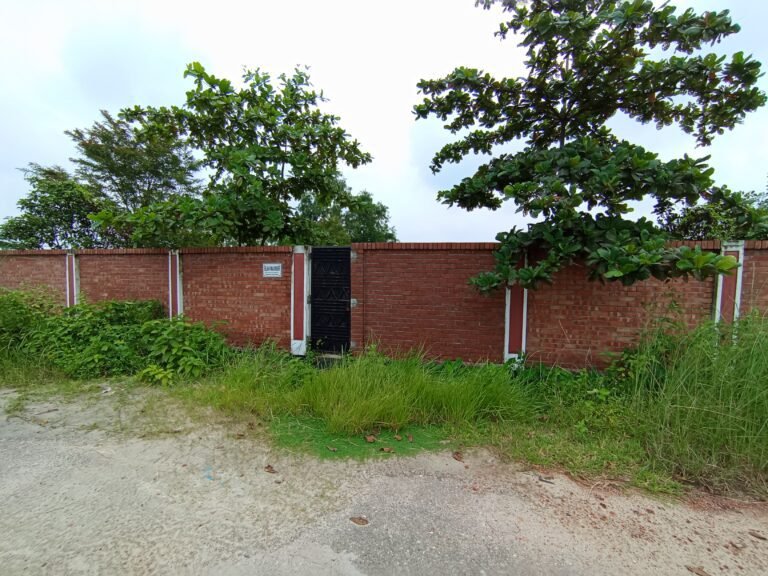 3 Katha Near 150ft in Sector 27