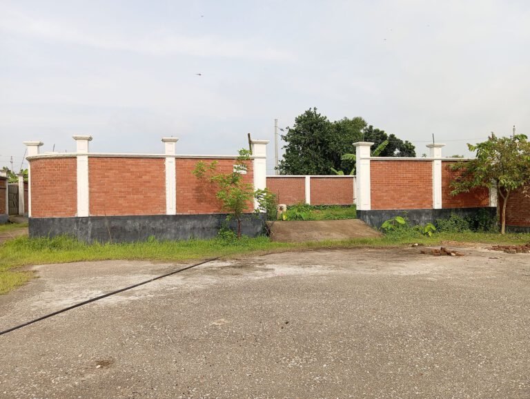 South Facing 3 Katha Plot in Sector 17