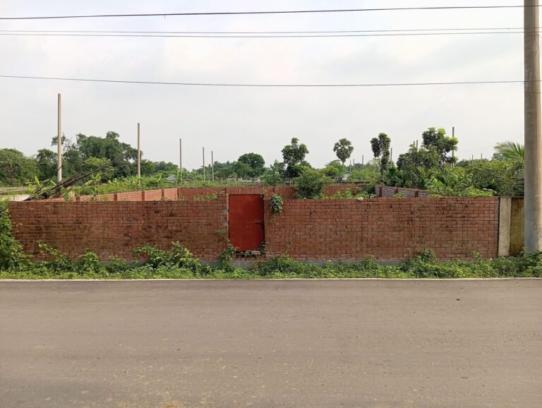 East Facing 5 Katha Plot Near 100ft in Sector 15