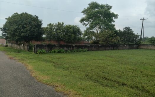 Photo of the 10 katha plot in Purbachal Sector 10